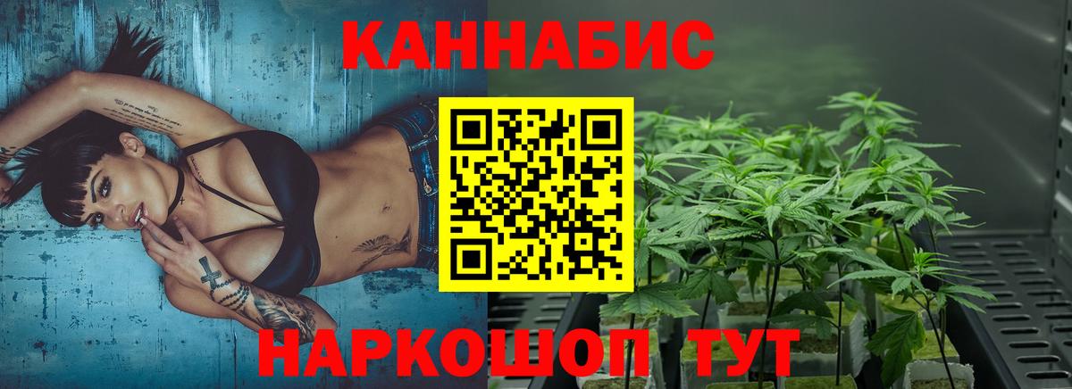Шишки марихуана Amnesia Печора